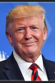 Trump: America Interrupted (2020)