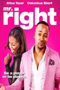Mr. Right (2015)