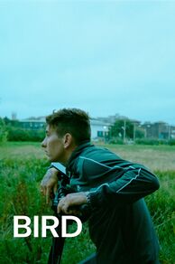 Bird (2024)