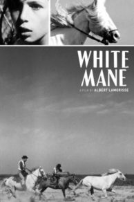 White Mane (1953)