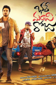 Bhale Manchi Roju (2015)