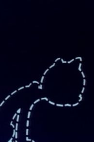 The House-Cat (Felis Vulgaris) (1948)