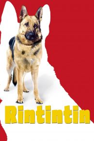 Finding Rin Tin Tin (2007)