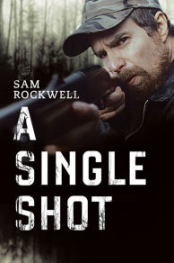 A Single Shot (2013)