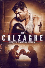 Mr Calzaghe (2015)