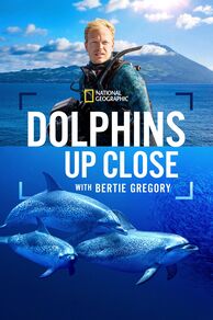 Dolphins Up Close with Bertie Gregory (2025)
