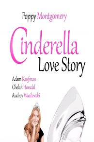 Lying to Be Perfect (2010)