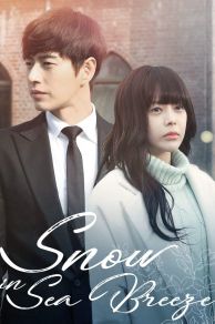 Snow Is on the Sea (2015)