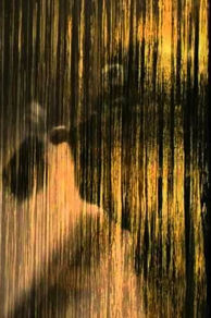 Battements solaires (2008)