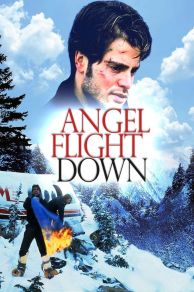 Angel Flight Down (1996)