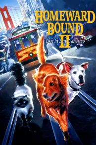 Homeward Bound II: Lost in San Francisco (1996)