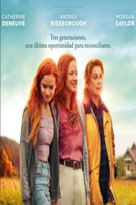 Funny Birds (Au fil des saisons) (2024)