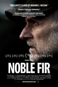 Noble Fir (2014)