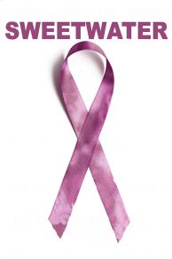 The Jonas Project (2012)