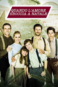 Loves Christmas Journey (2011)