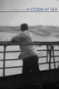A Storm at Sea (1900)