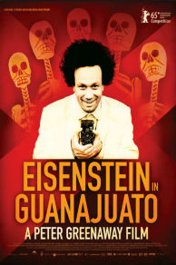 Eisenstein in Guanajuato (2015)
