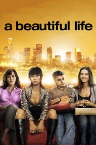 A Beautiful Life (2008)