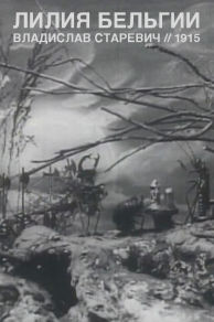 Liliya Belgii (1915)
