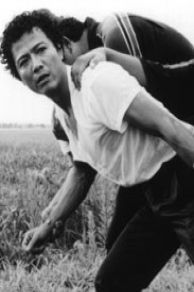 Farewell to the Land (1982)