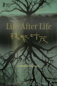 Life After Life (2016)
