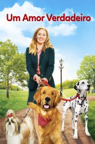 My Boyfriends Dogs (2014)