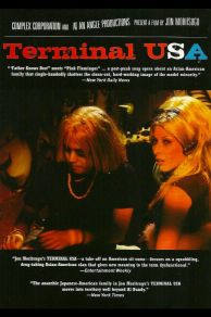 Terminal USA (1993)