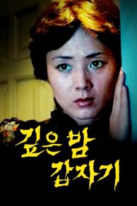 Suddenly in the Dark ( Gipeun bam gabjagi) (1981)