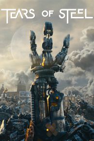Tears of Steel (2012)
