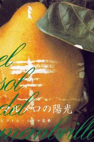 Dream of Light (El sol del membrillo) (1992)