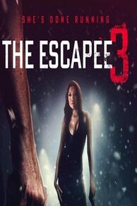 The Escapee 3: The Final Escape (2024)