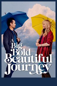 A Big Bold Beautiful Journey (2025)