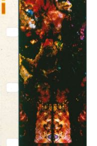 The Dante Quartet (1987)