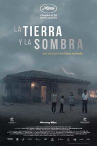 Land and Shade (2015)