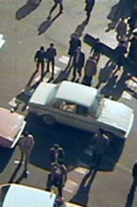 Orderly or Disorderly (1981)