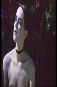 The Painted Lady (2012)