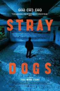 Stray Dogs (2013)