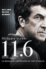11.6 (2013)