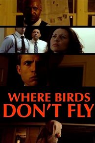 Where Birds Dont Fly (2017)
