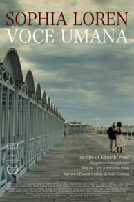 Human Voice (2014)