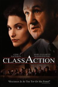 Class Action (1991)