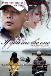 If You Are the One (2008)