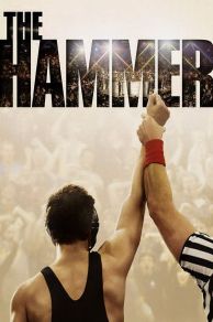 The Hammer (Hamill) (2010)