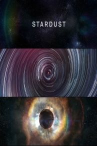 Stardust (2014)