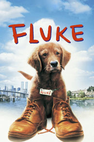 Fluke (1995)