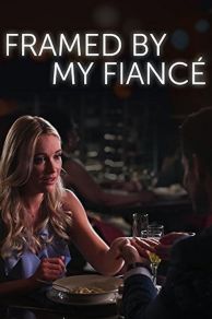 Framed by My Fiancé (TV Movie 2017) (2017)