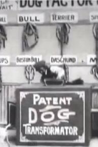 Dog Factory (1904)