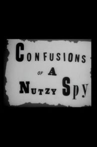 Confusions of a Nutzy Spy (1943)