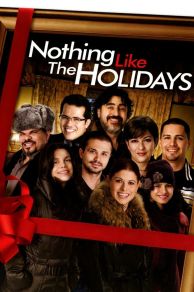 Nothing Like the Holidays (2008)