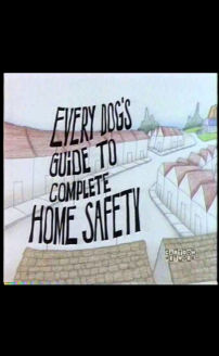 Every Dogs Guide to Complete Home Safety
